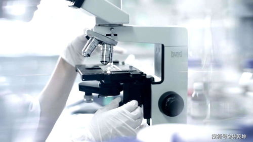 廣州化妝品代加工攻略 如何輕松挑選優(yōu)質(zhì)工廠與廣告設(shè)計